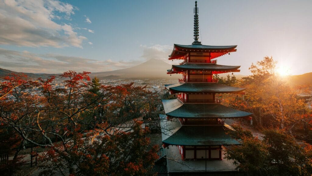 Waldbaden Studienreise nach Japan in das Heimatland des Shinrin-yoku