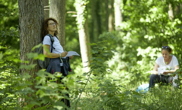 Teilnehmer genießen die Natur beim Waldbaden