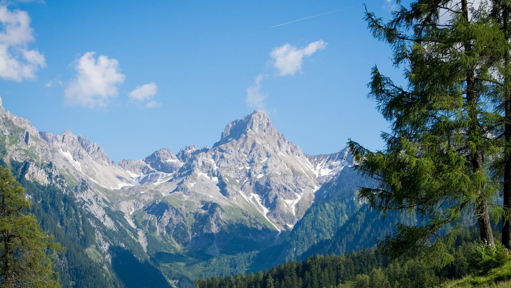 Kursleiter*in für Waldbaden - Achtsamkeit in der Natur - Sonderedition in Österreich