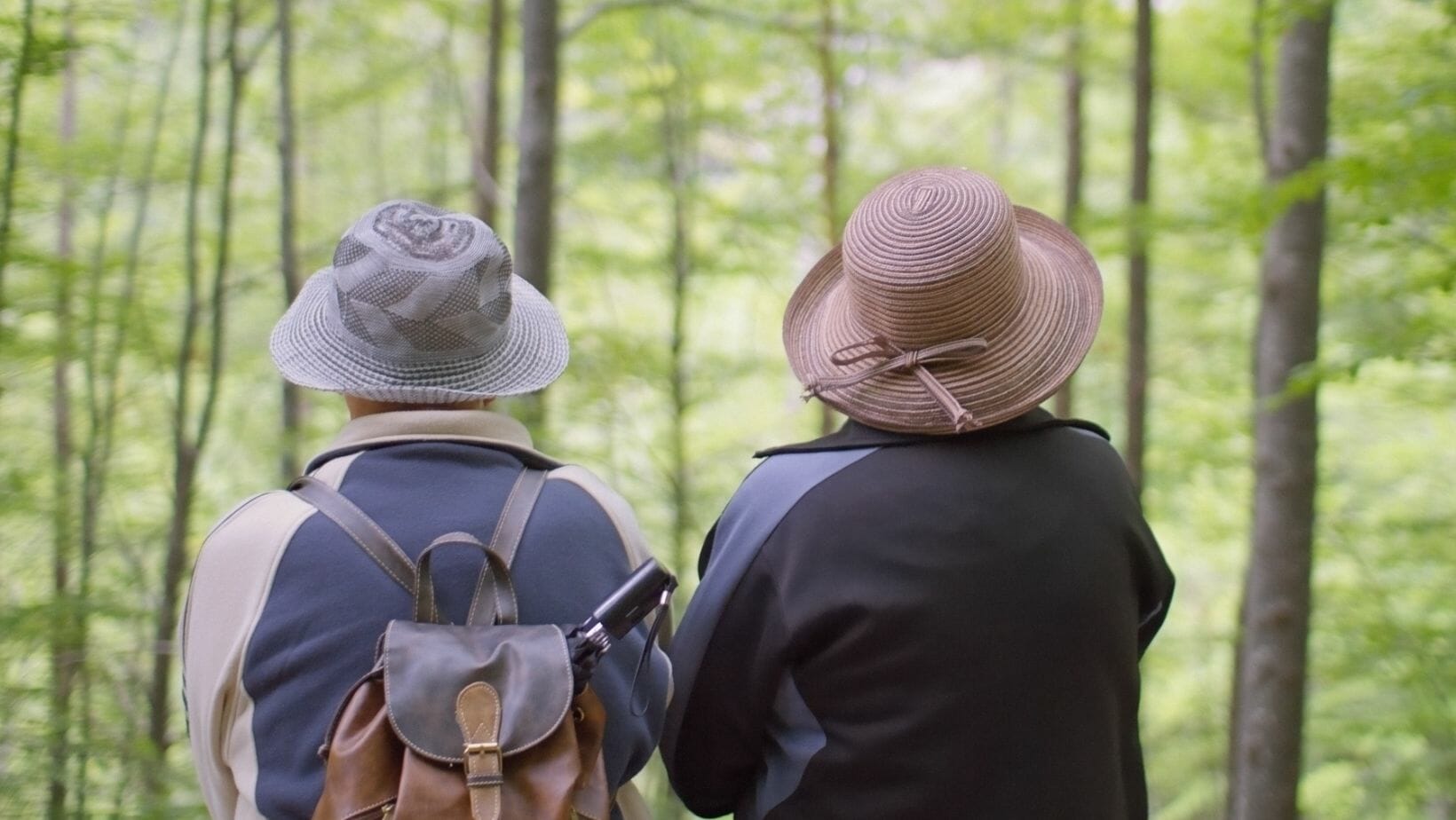 Aufbaumodul Kursleiter*in Waldbaden für Senioren – in der Pflege mit Sterbe- und Trauerbegleitung