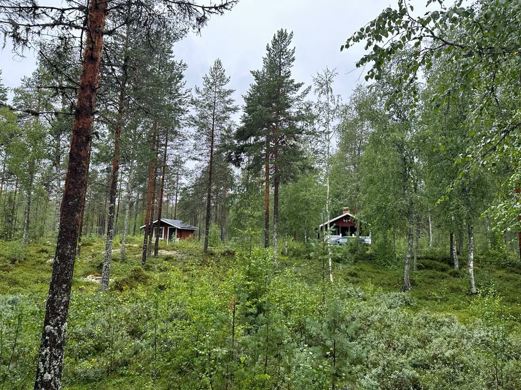 Akademie Hütten Natur-Camp im Wald