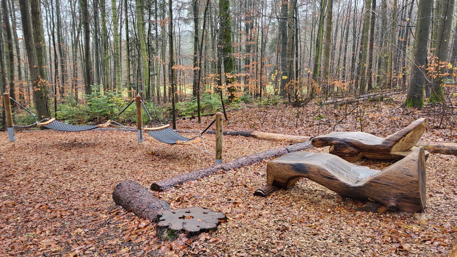 Waldbaden-Erlebnispfad