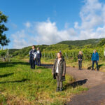 web_Natur_Campus_2024®Sven-Burbott-04595_Achtsamkeitsspaziergang Luft