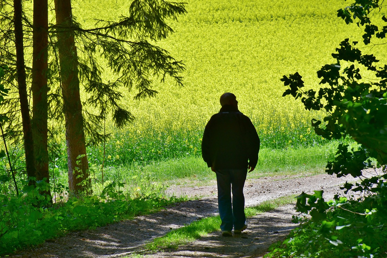 Ruhestand in Sicht - Impulse für die dritte Lebensphase