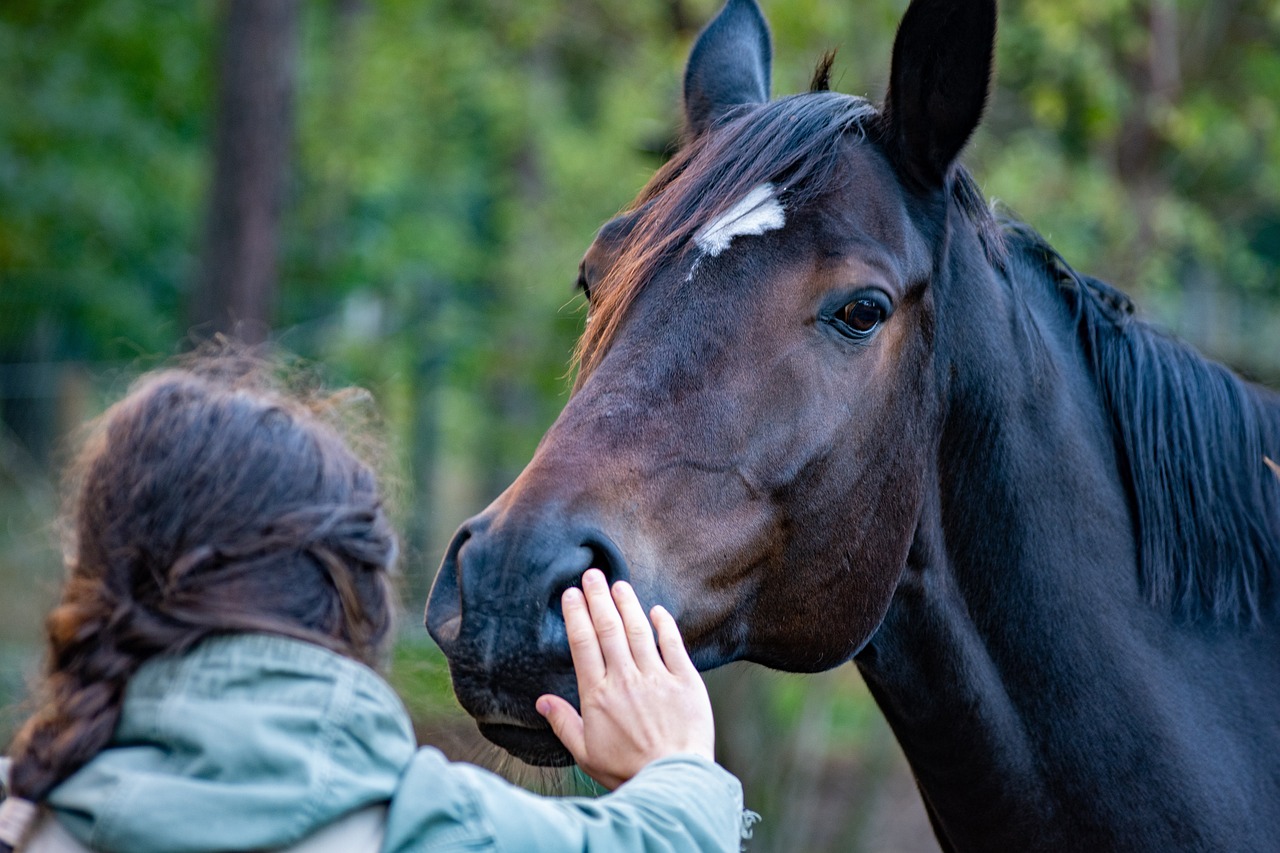 Stressprävention und mehr Stärke für Körper und Psyche im herausfordernden (Berufs-)Alltag durch Achtsamkeit in der Natur und Tiergestützte Intervention (Pferd)