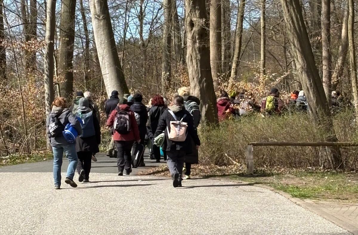 Wanderung zu den Wurzeln der Resilienz