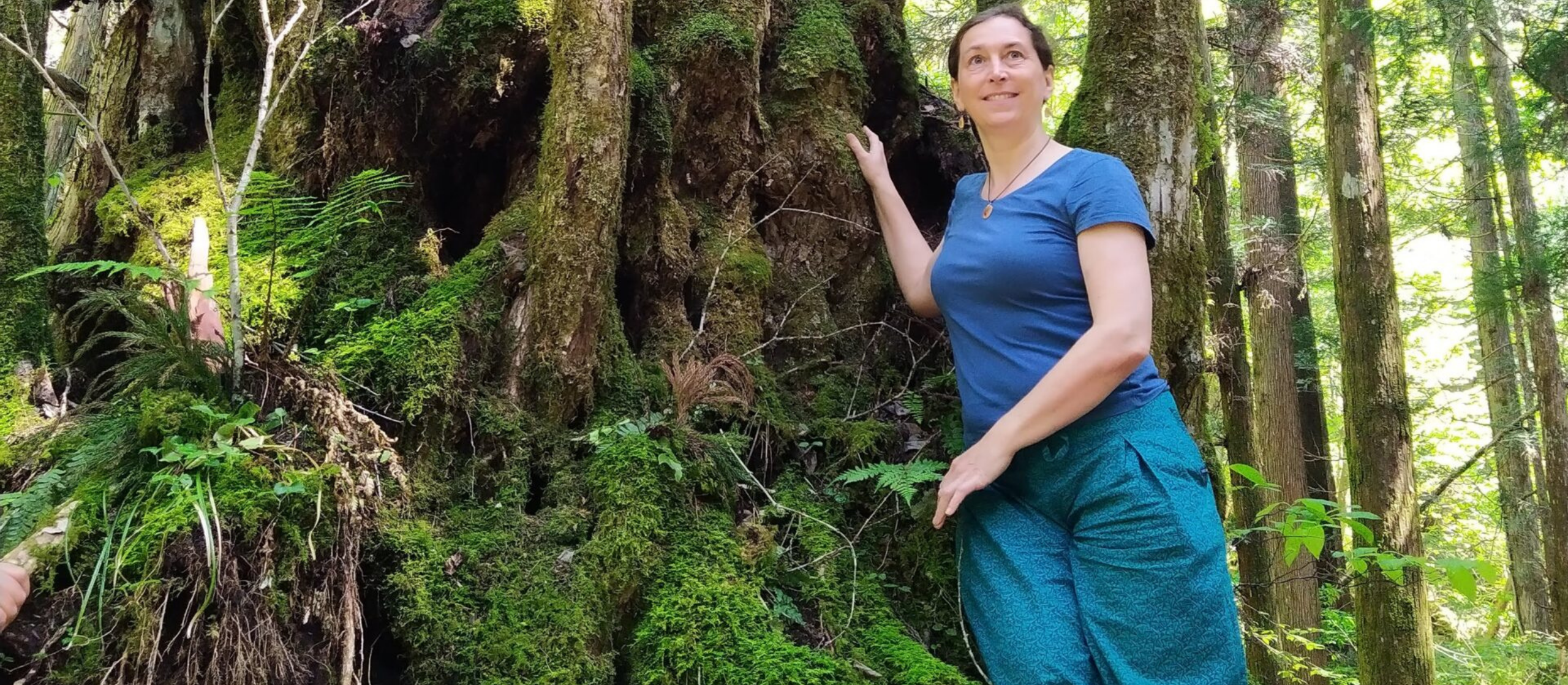 Infoabend - Waldbaden (Kinder/Waldpädag.), Resilienztrainer, Pilgern, Wildkräuter-Workshop