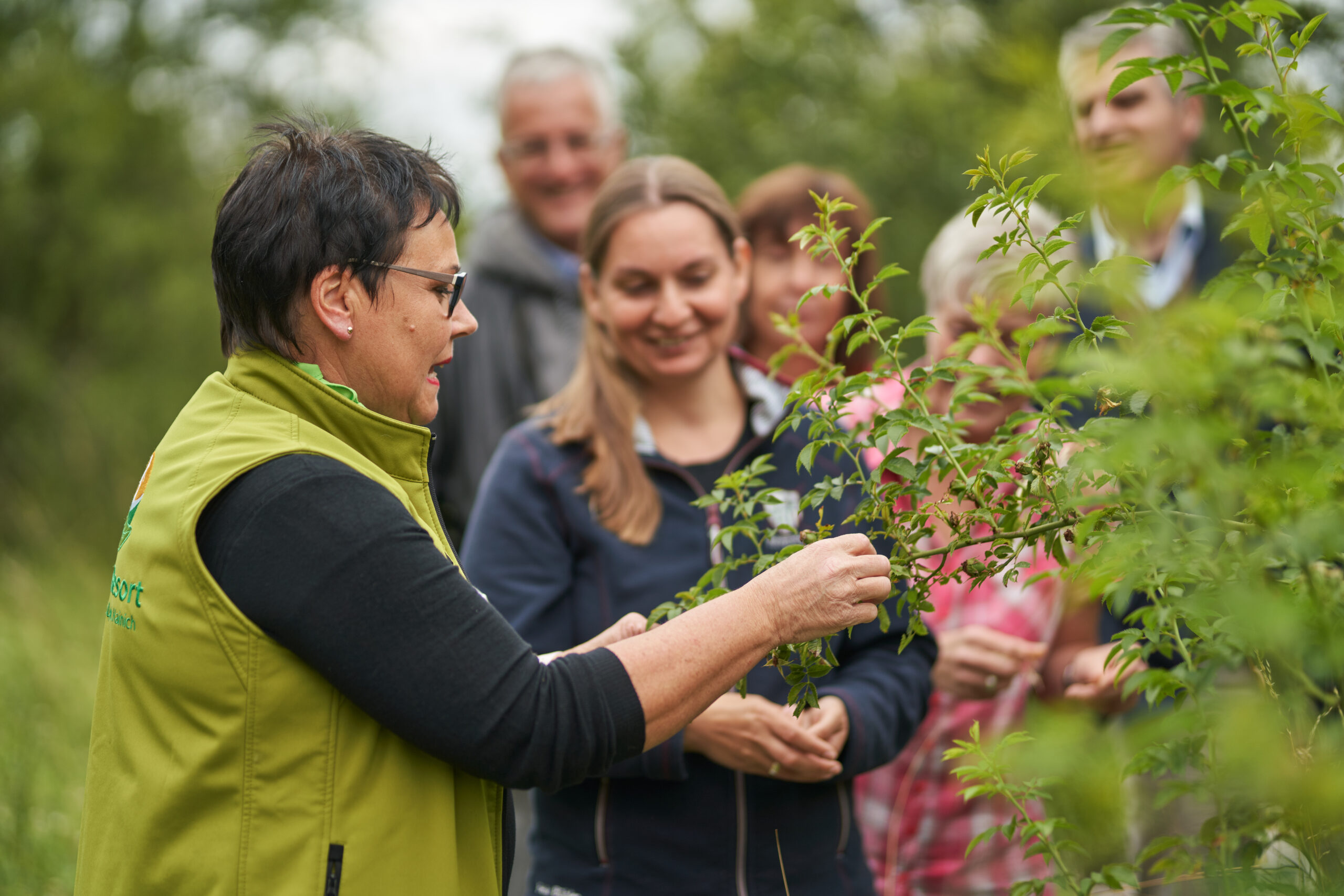 Workshop Kräuter & Ernährung