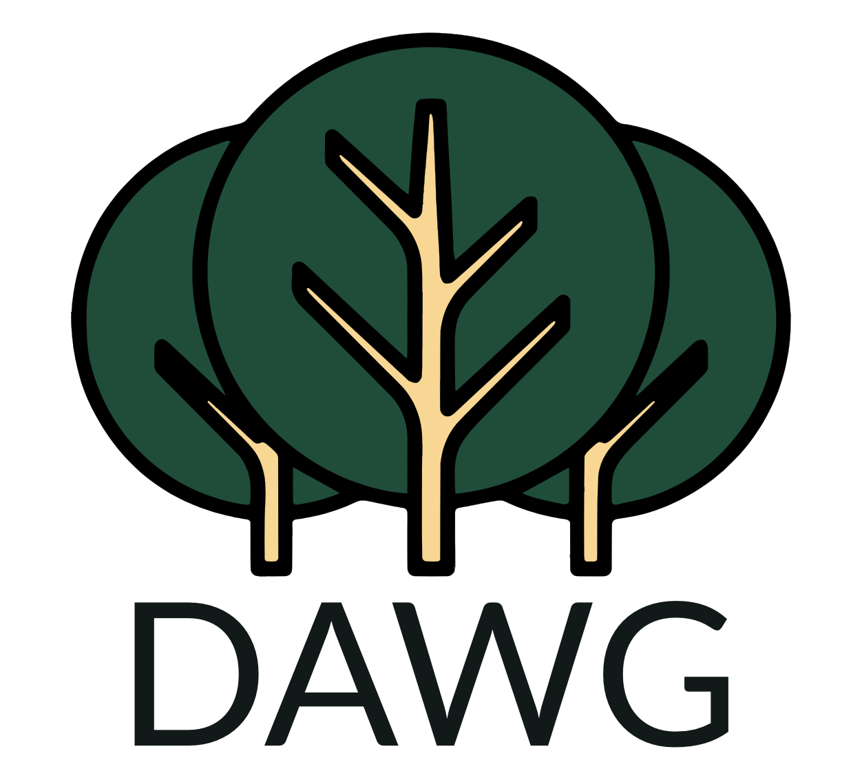 Deutsche Akademie für Waldbaden & Gesundheit