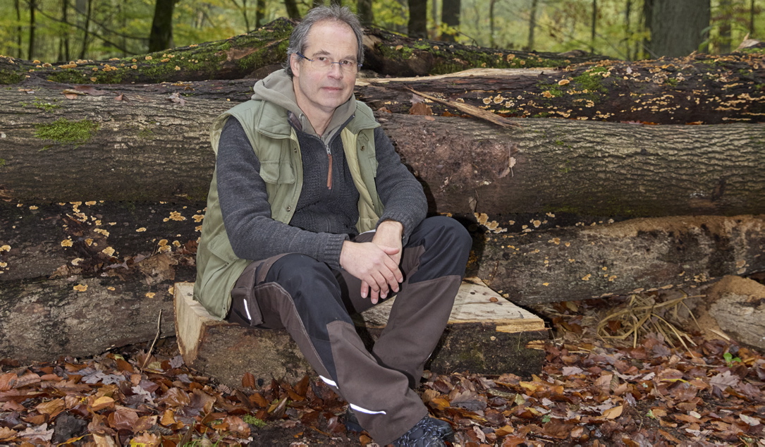 Alte Mischwälder mit Wasser – Orte, an denen Ruhe, Weite und Lebendigkeit gleichzeitig spürbar werden.