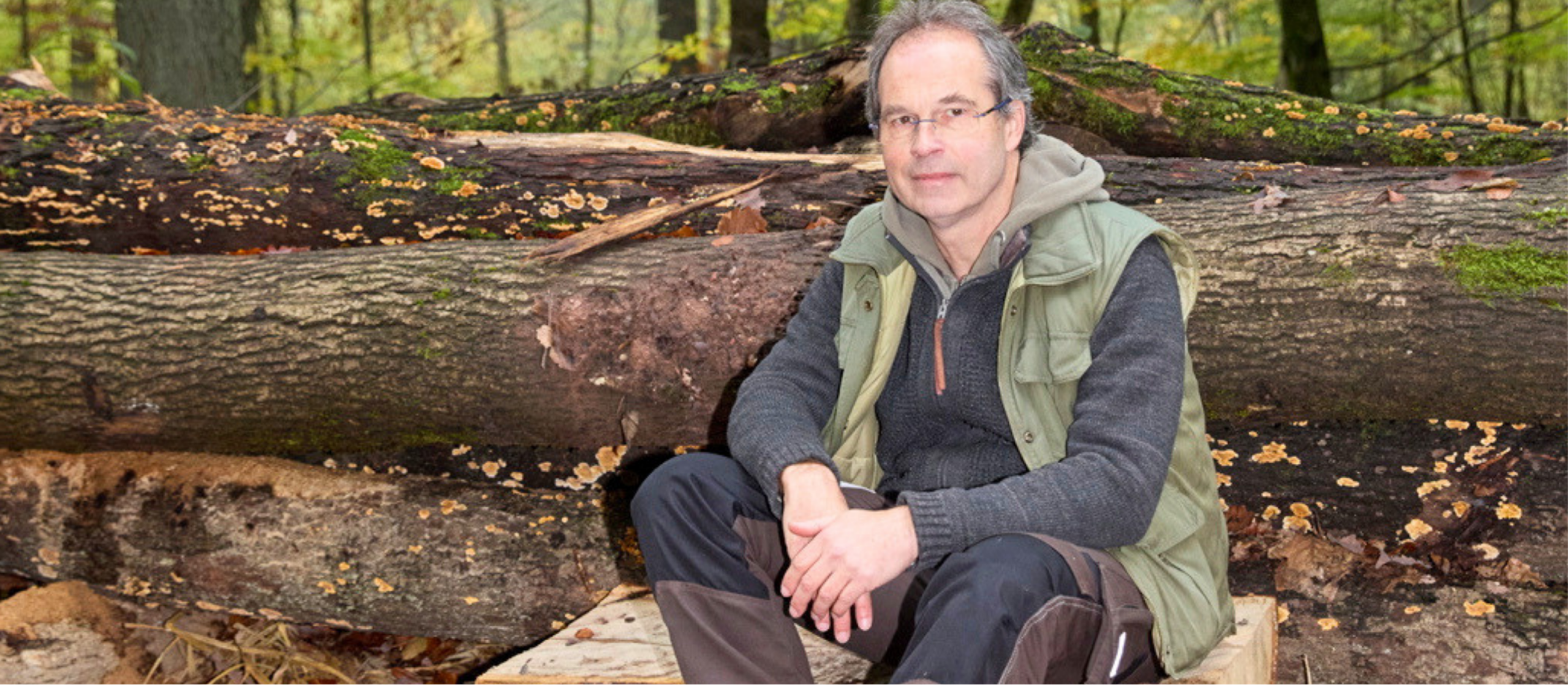 Infoabend - Berater BGM/BEM, Syst. Coaching, Resilienz-/Mentaltrainer, Kursleiter Waldbaden