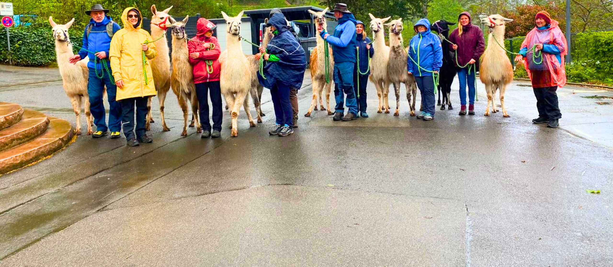 Infoabend – Waldbaden, Achtsamkeit, AT, BUs Kneipp, Lama/ Pferd, Kreativ, Barrierefrei