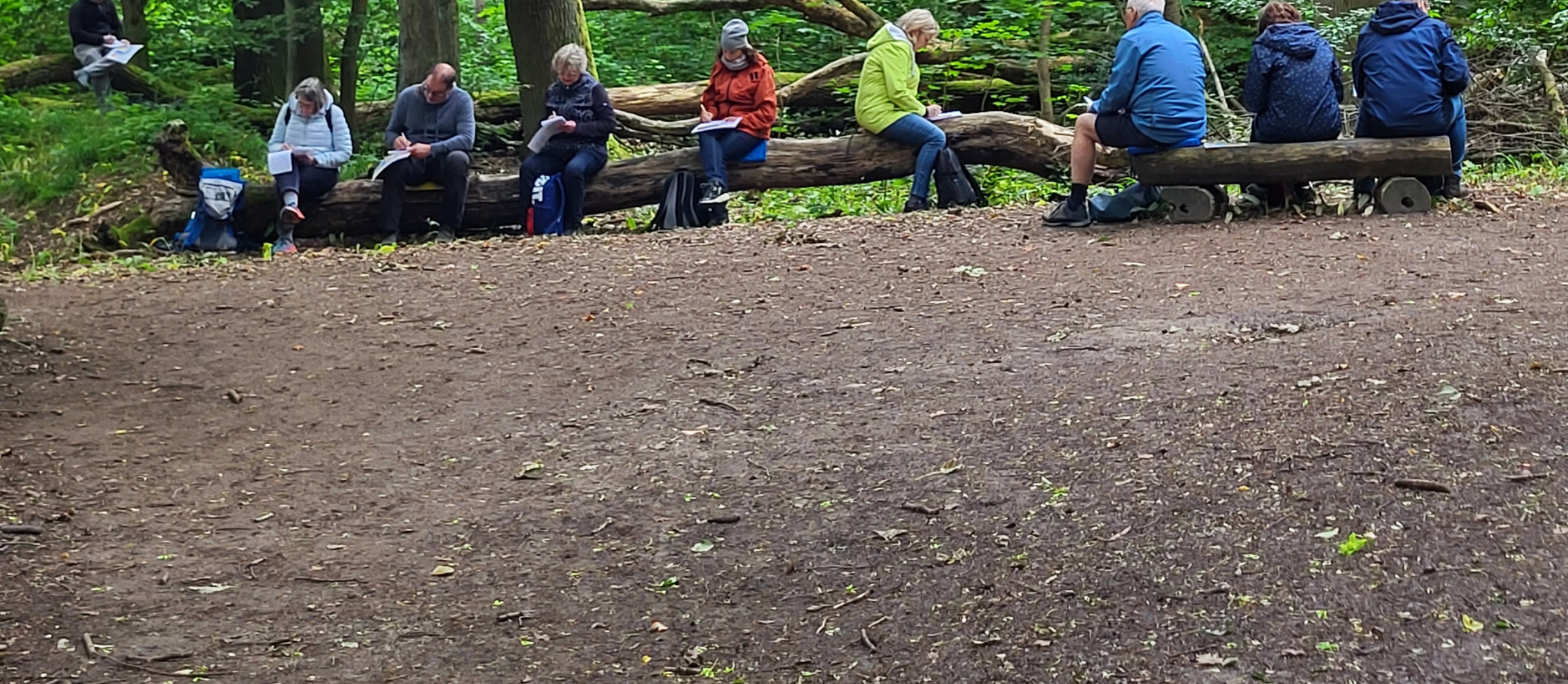 Infoabend - Waldbaden, Meditation, Resilienz, Pilgern, Trauer, Schottland, Ruhestand