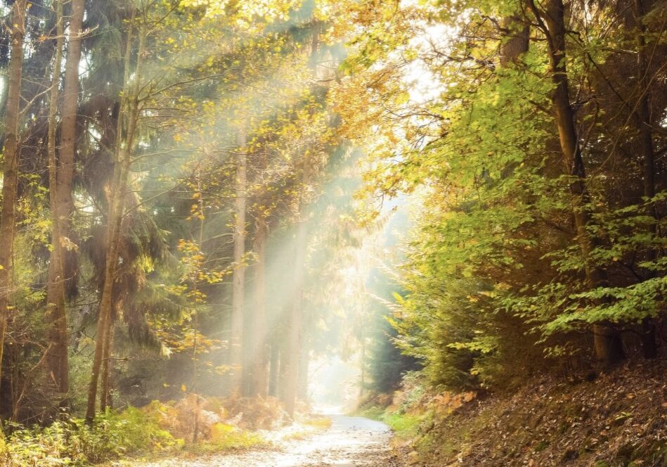 Bewegung für die Seele