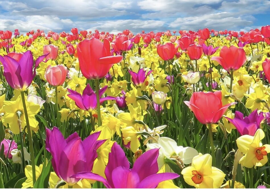 April-Frische: Ostern, Natur & neue Energie für dich!