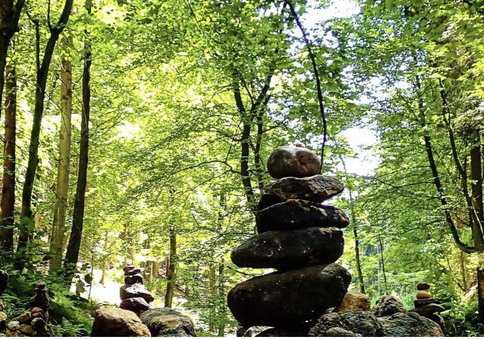 Im Einklang mit der Natur – mentale Kraft im Sommer finden