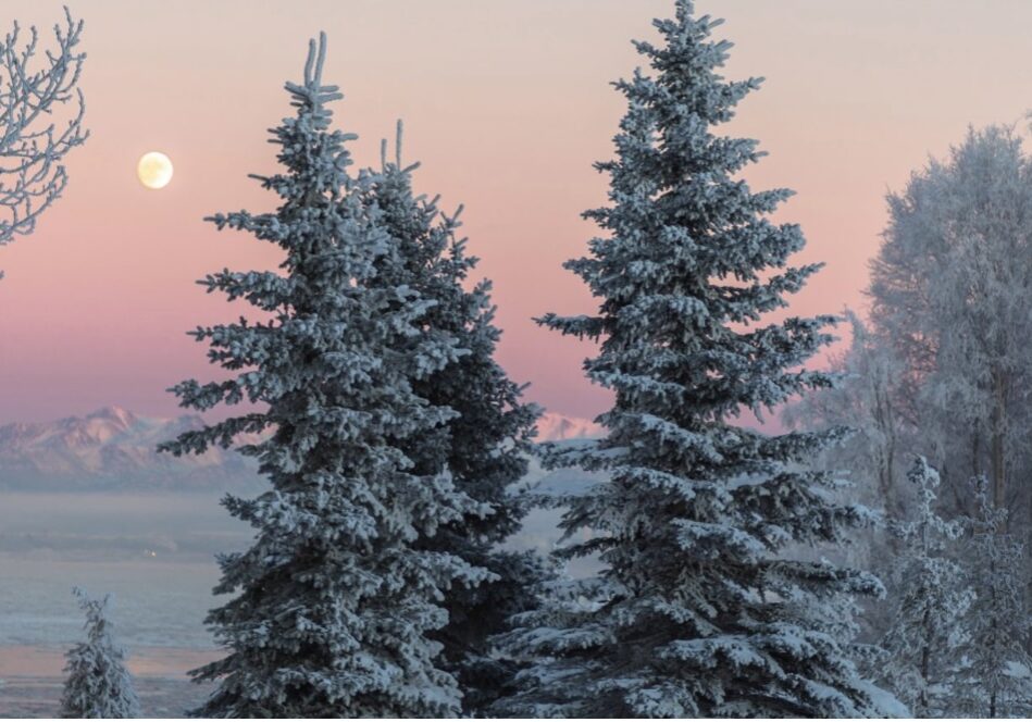 Ein schönes und gesundes neues Jahr 2025